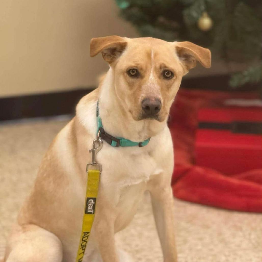 Frannie fka Meef — thumbnail 5