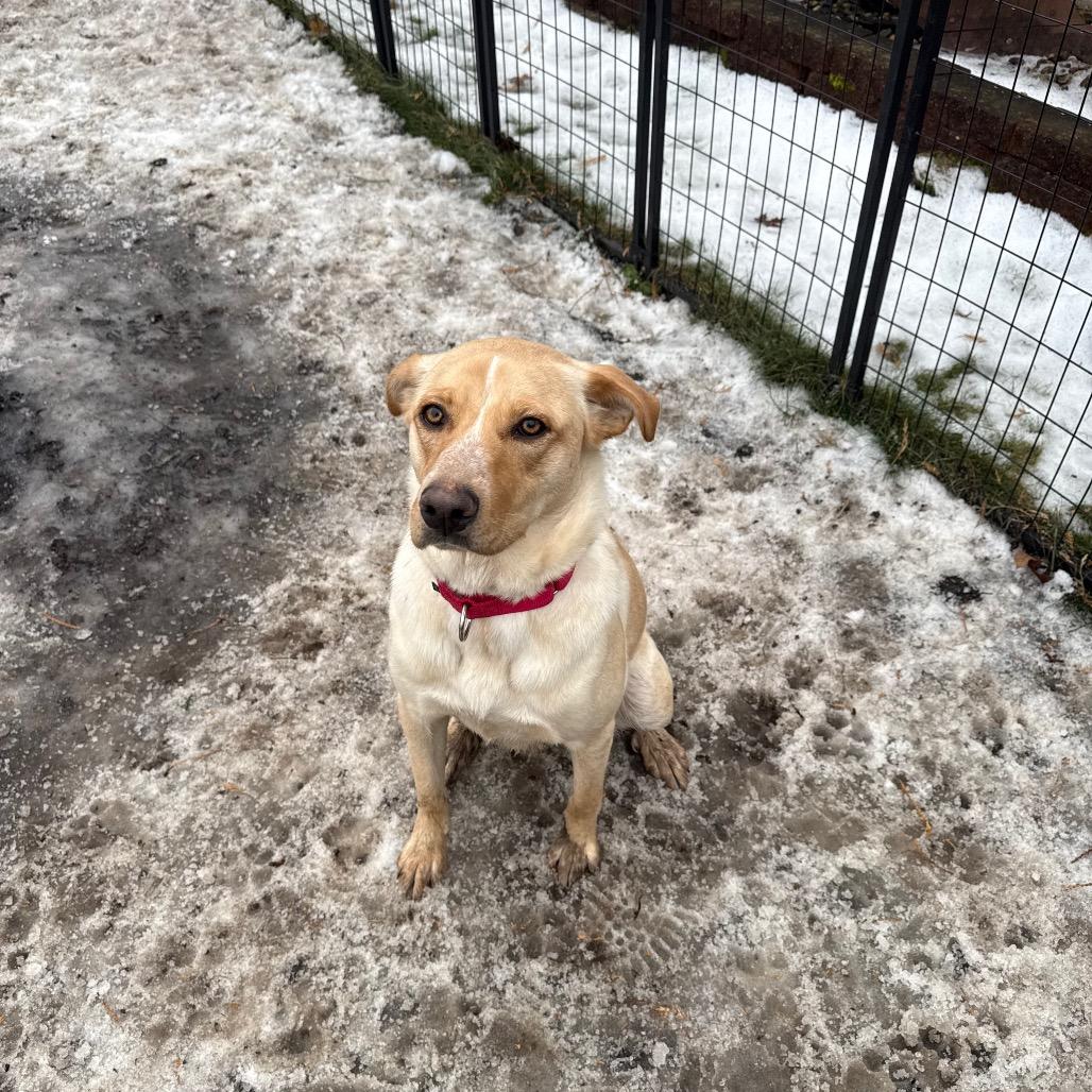 Frannie fka Meef — thumbnail 6