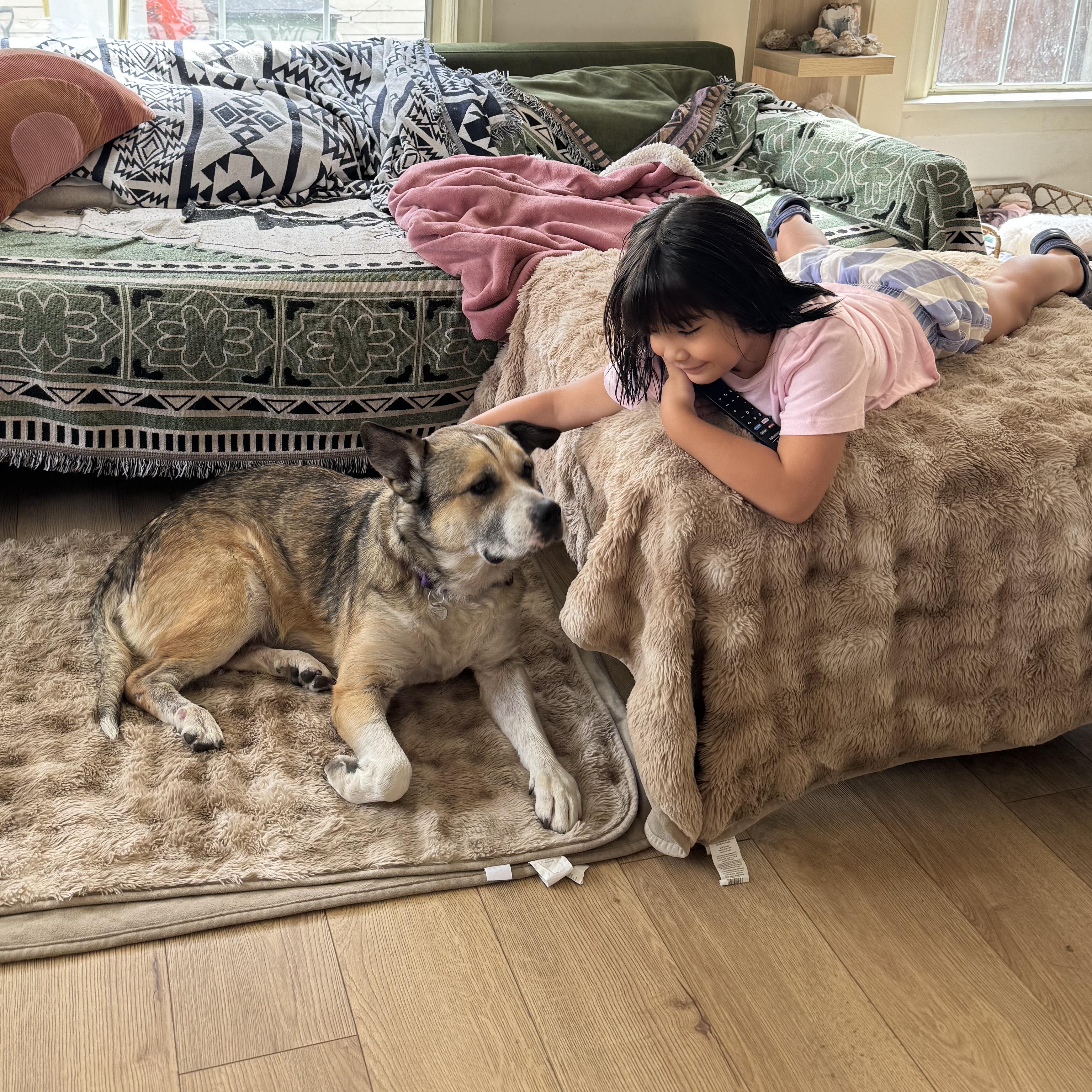 Enlarge ROSIE, a Adoptable mixed breed in Pasadena, CA image 2/5