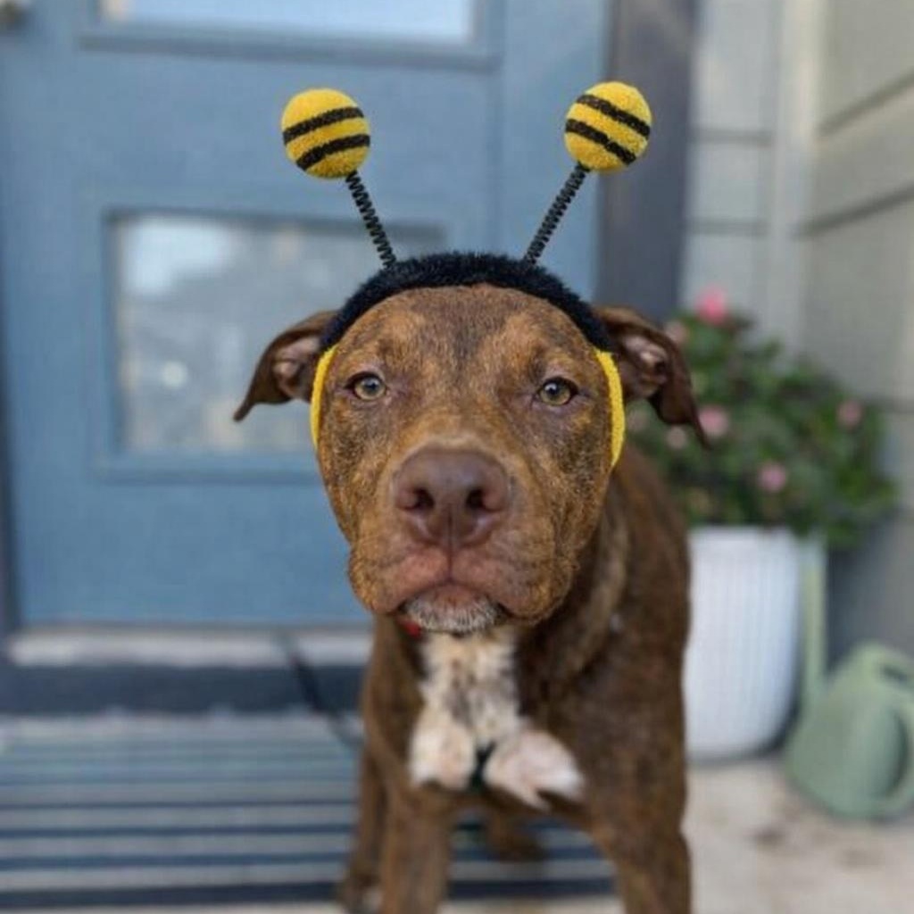 Jason Statham — thumbnail 3