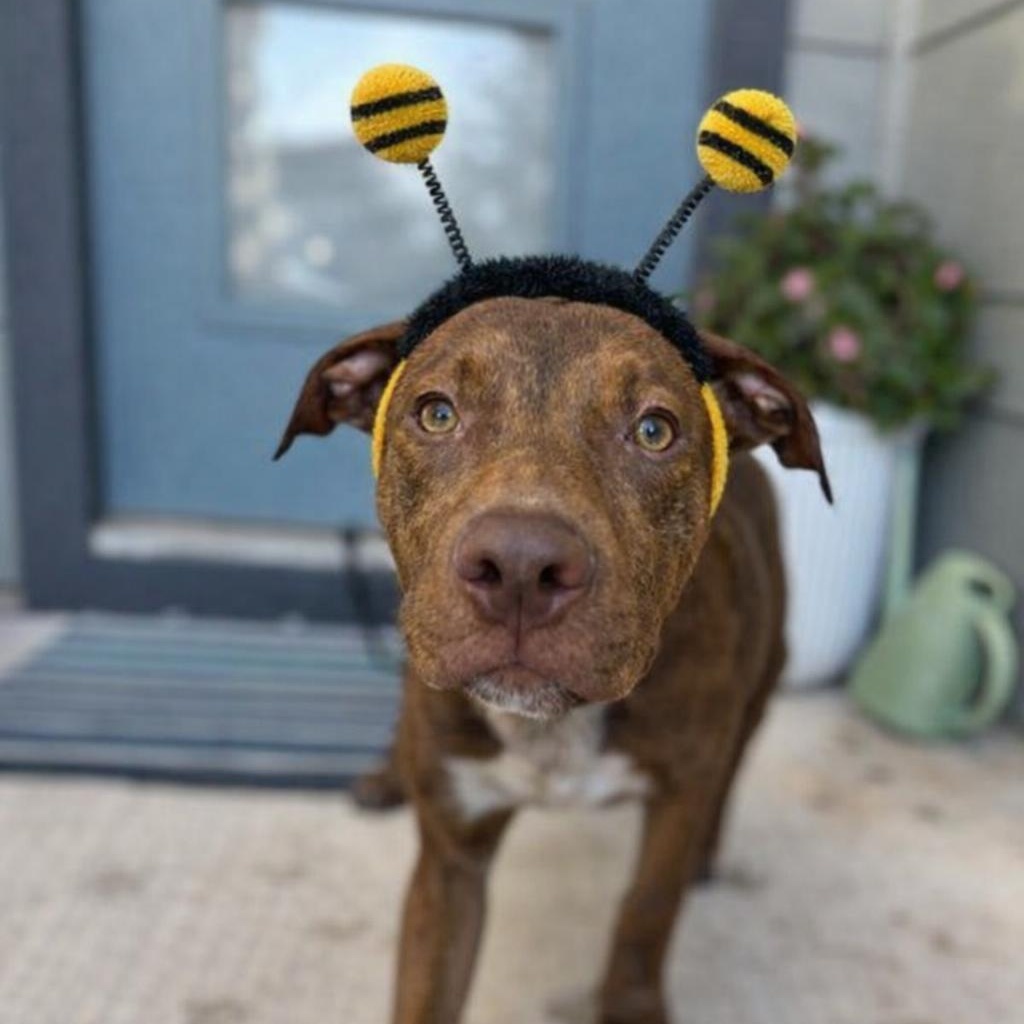 Jason Statham — thumbnail 4