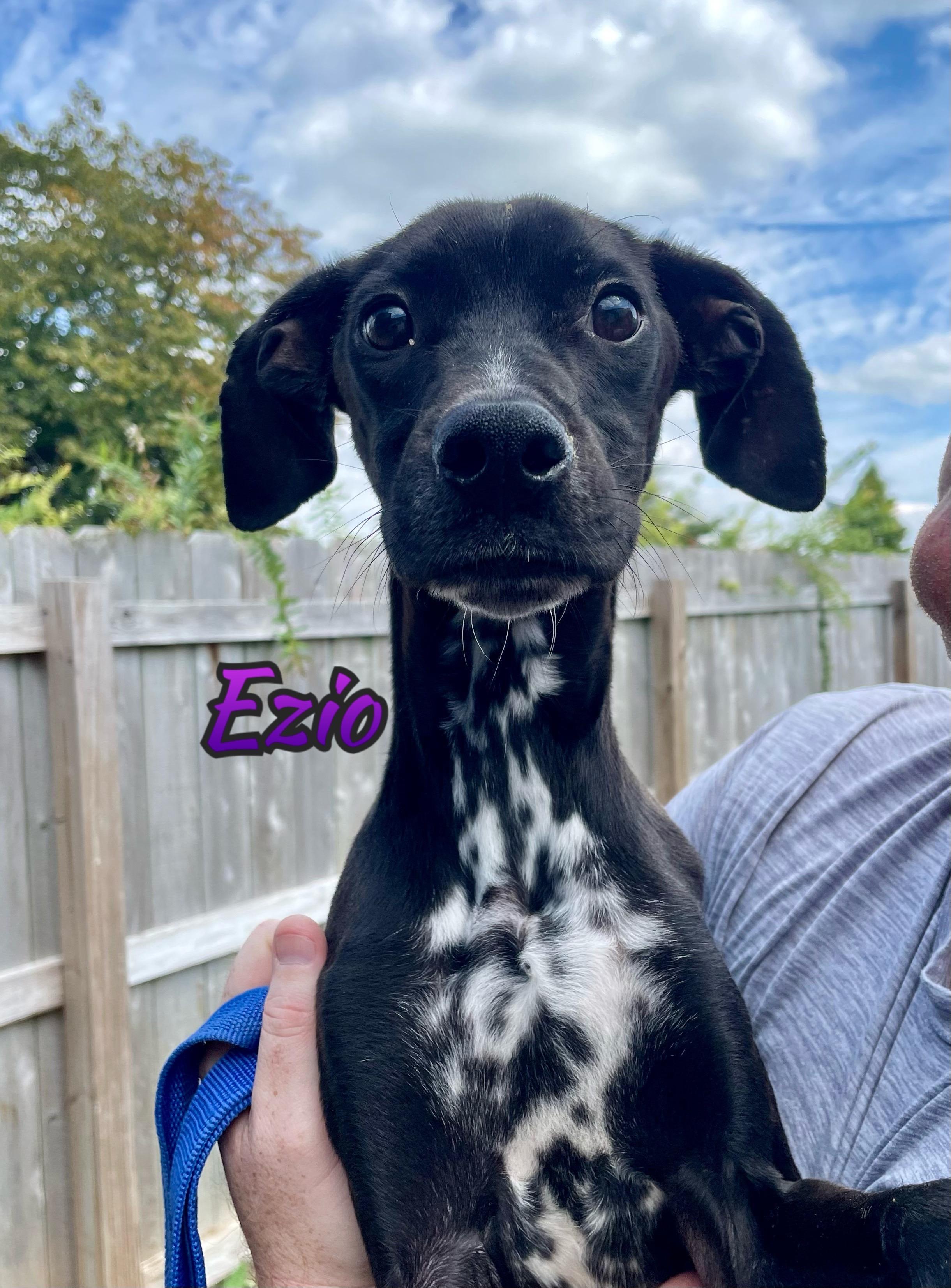Ezio