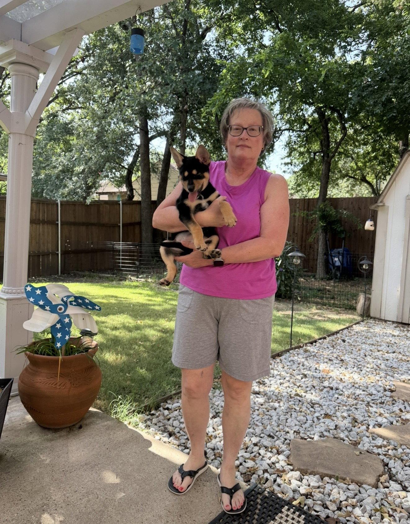 Peaches, Adopted, Young Female Australian Kelpie.