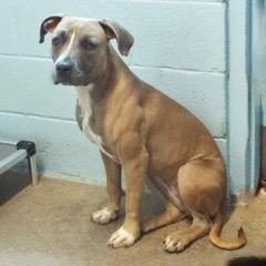 Honey — thumbnail 6