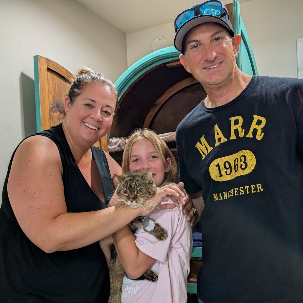 Enlarge Wilma, a Adoptable Domestic Medium Hair in Ramona, CA image 5/6