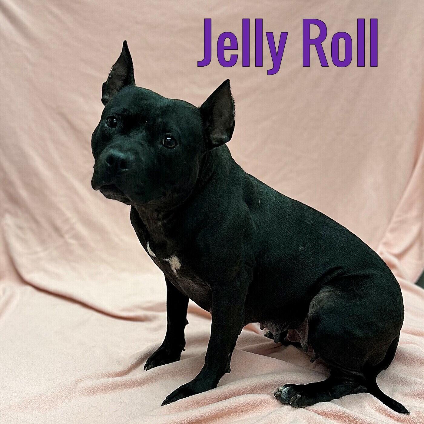 Jelly Roll