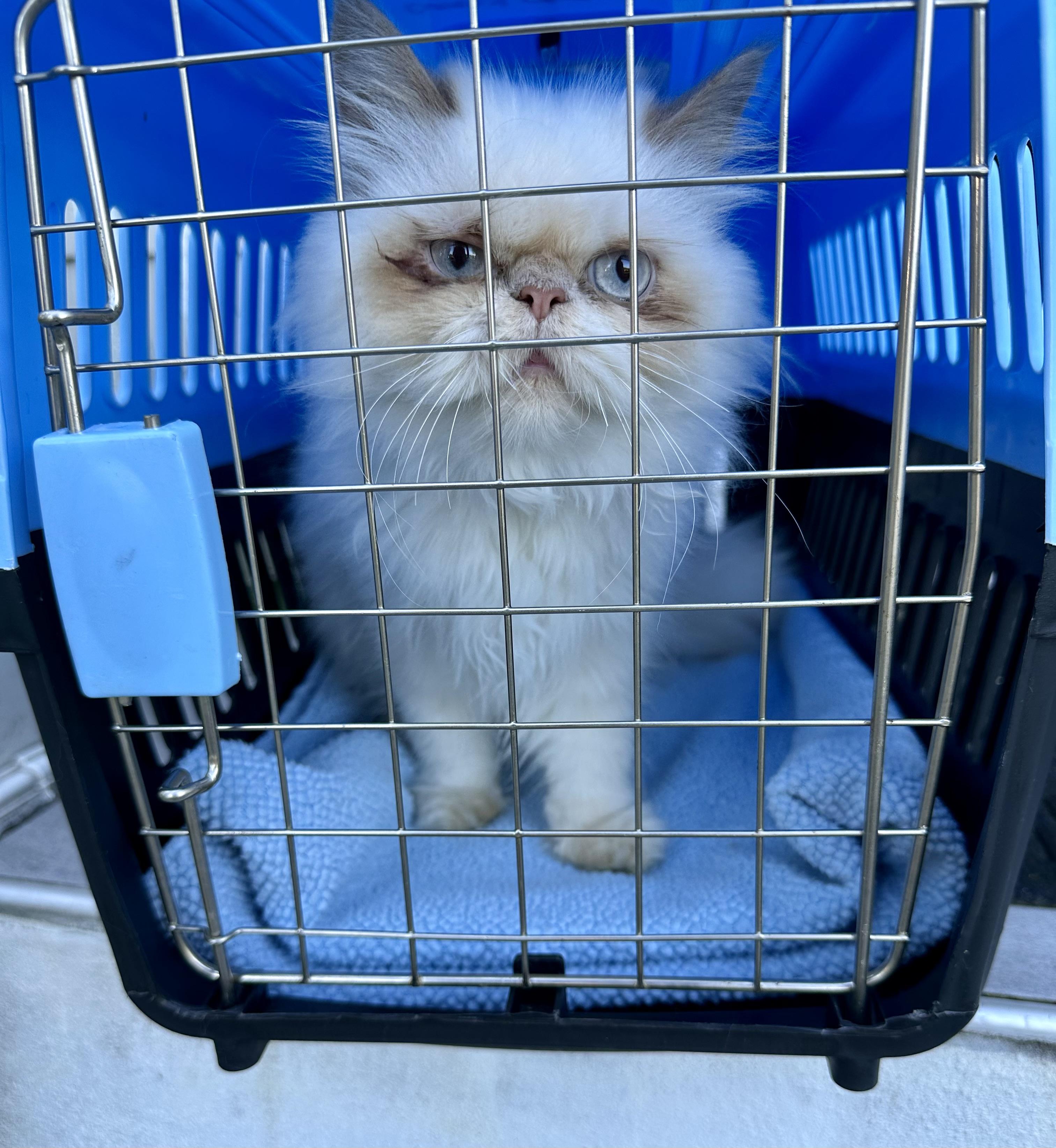 Tiko!!!