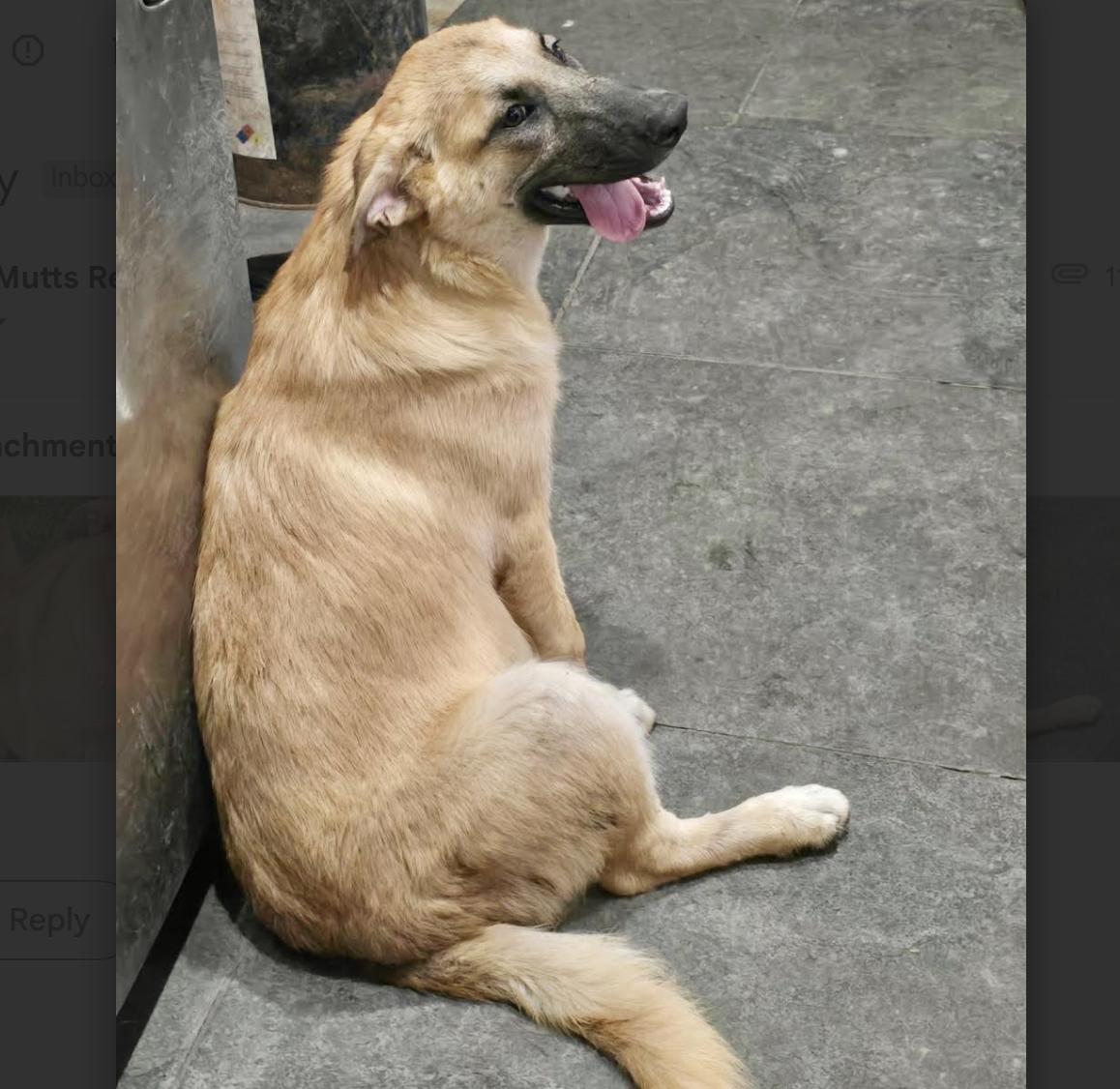 Milky — thumbnail 3