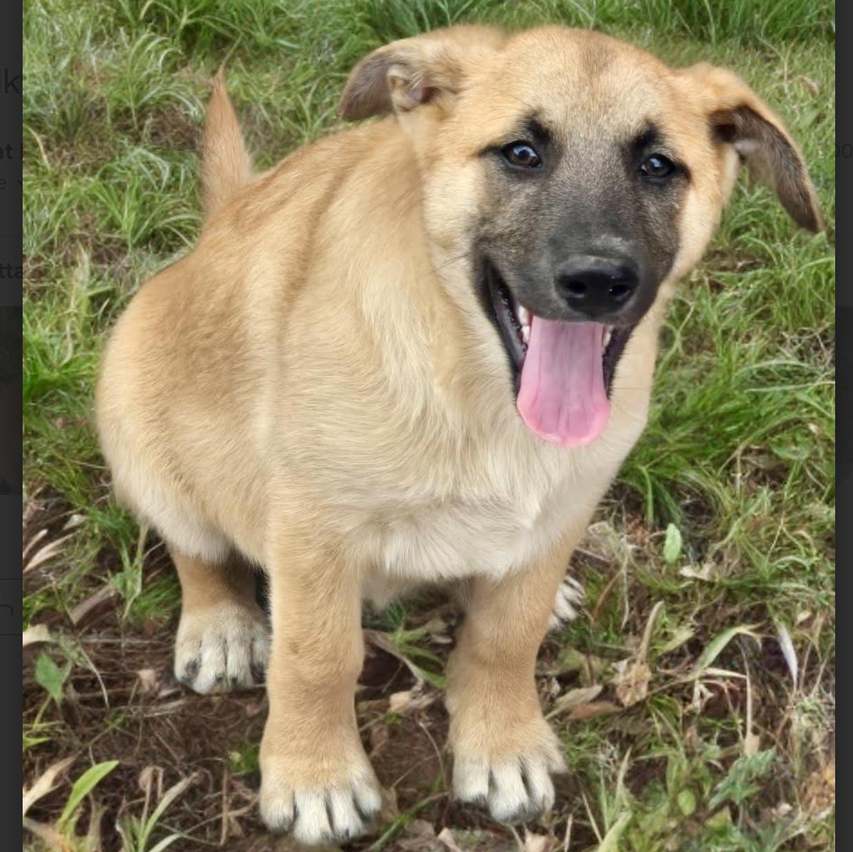 Milky — thumbnail 4