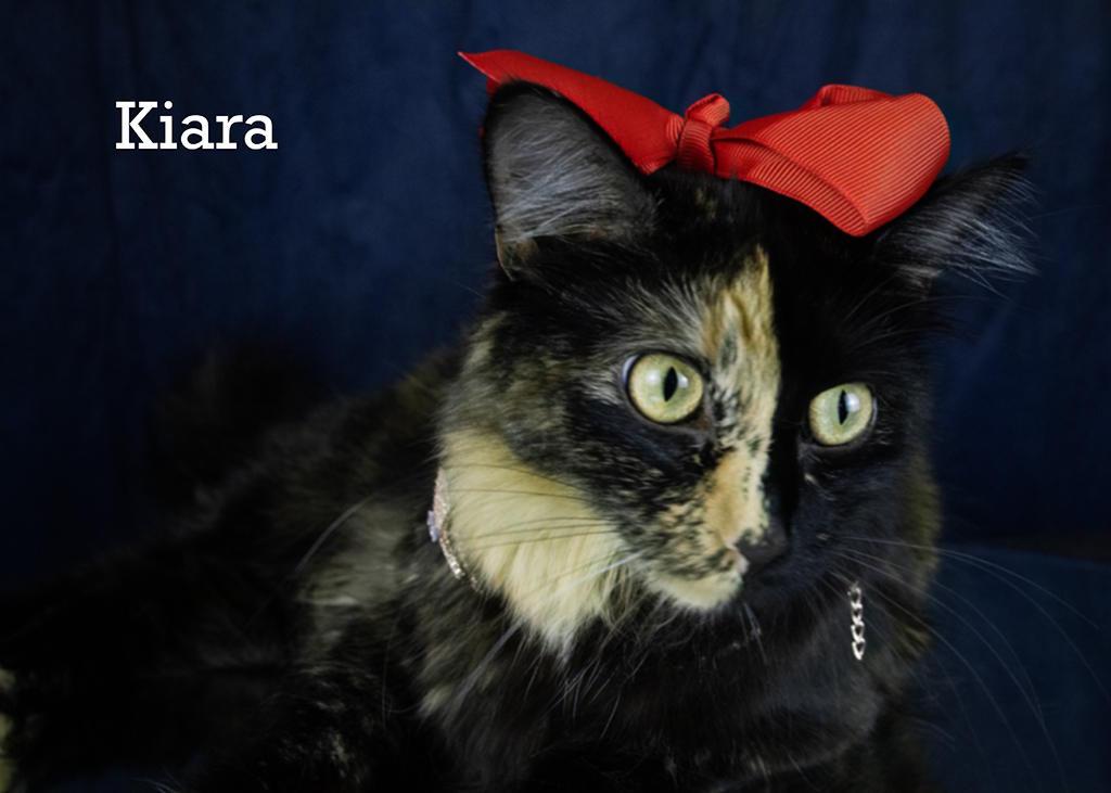 Kiara thumbnail 2