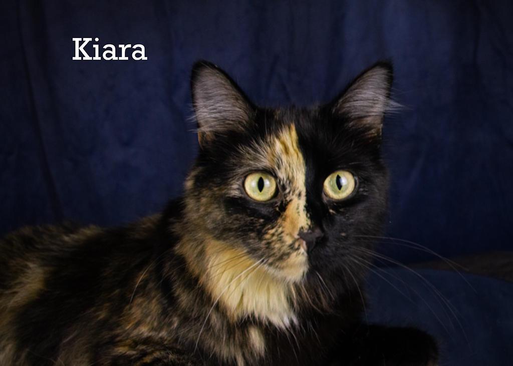 Kiara