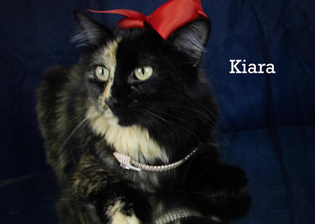 Kiara thumbnail 4