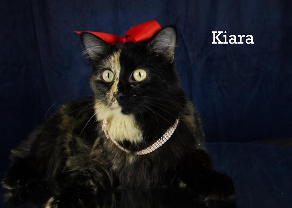 Kiara thumbnail 3