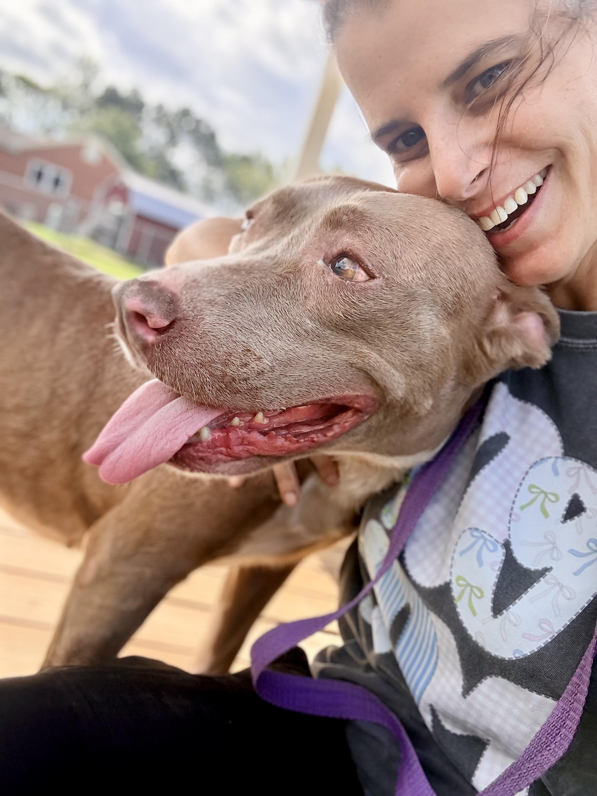 Enlarge Truffles, a Adoptable mixed breed in Springhill, LA image 3/6
