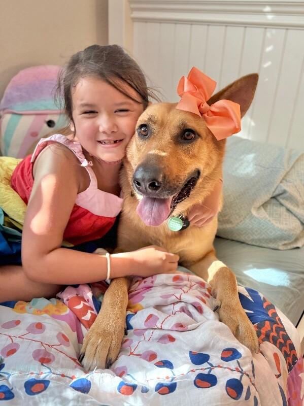 Enlarge Molly Mae So Majestic, a Adoptable mixed breed in Surrey, BC image 3/6