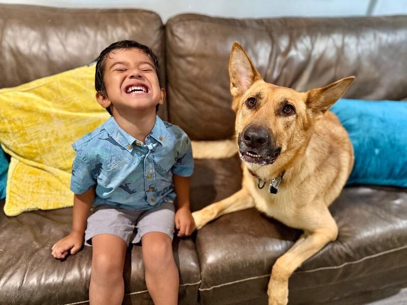 Enlarge Molly Mae So Majestic, a Adoptable mixed breed in Surrey, BC image 4/6