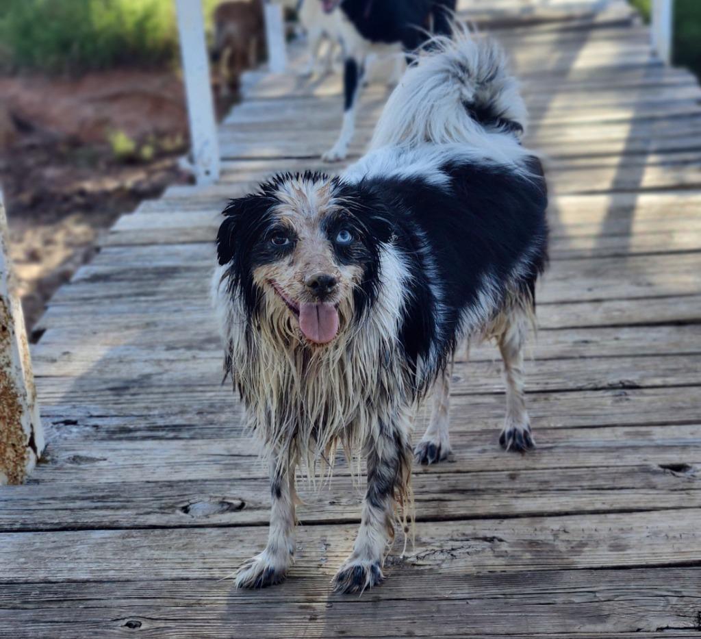 Blue — thumbnail 4