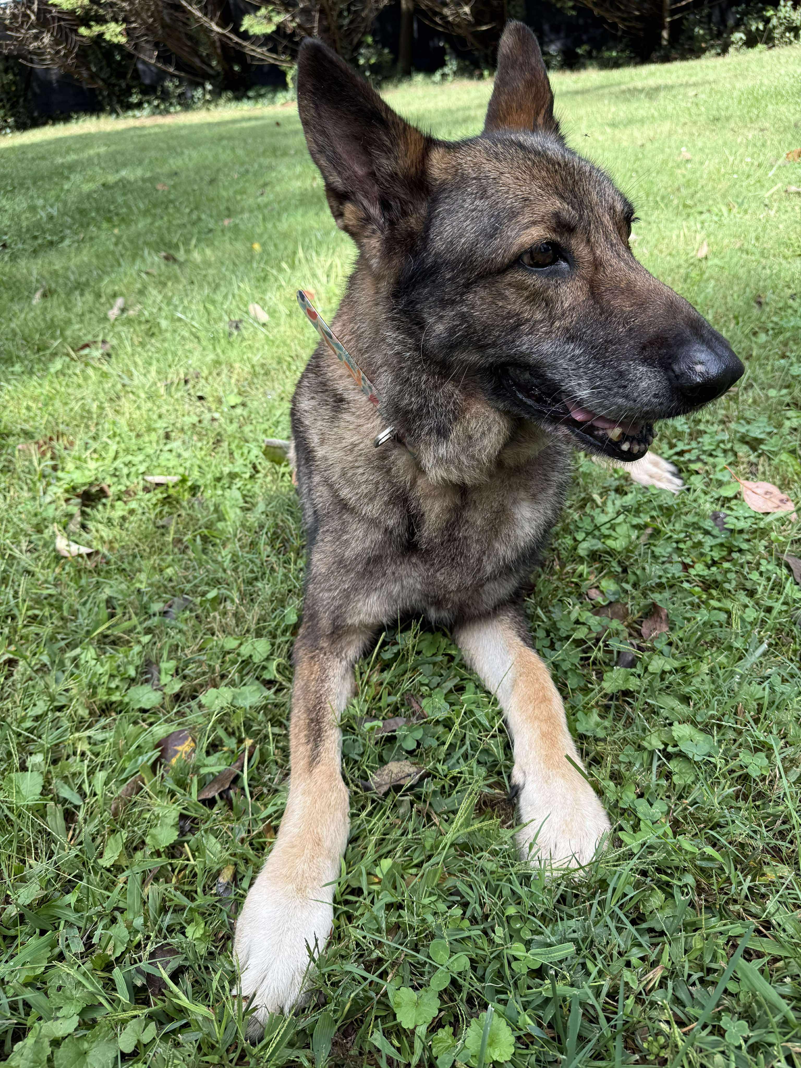 Renata (Sweet Senior)