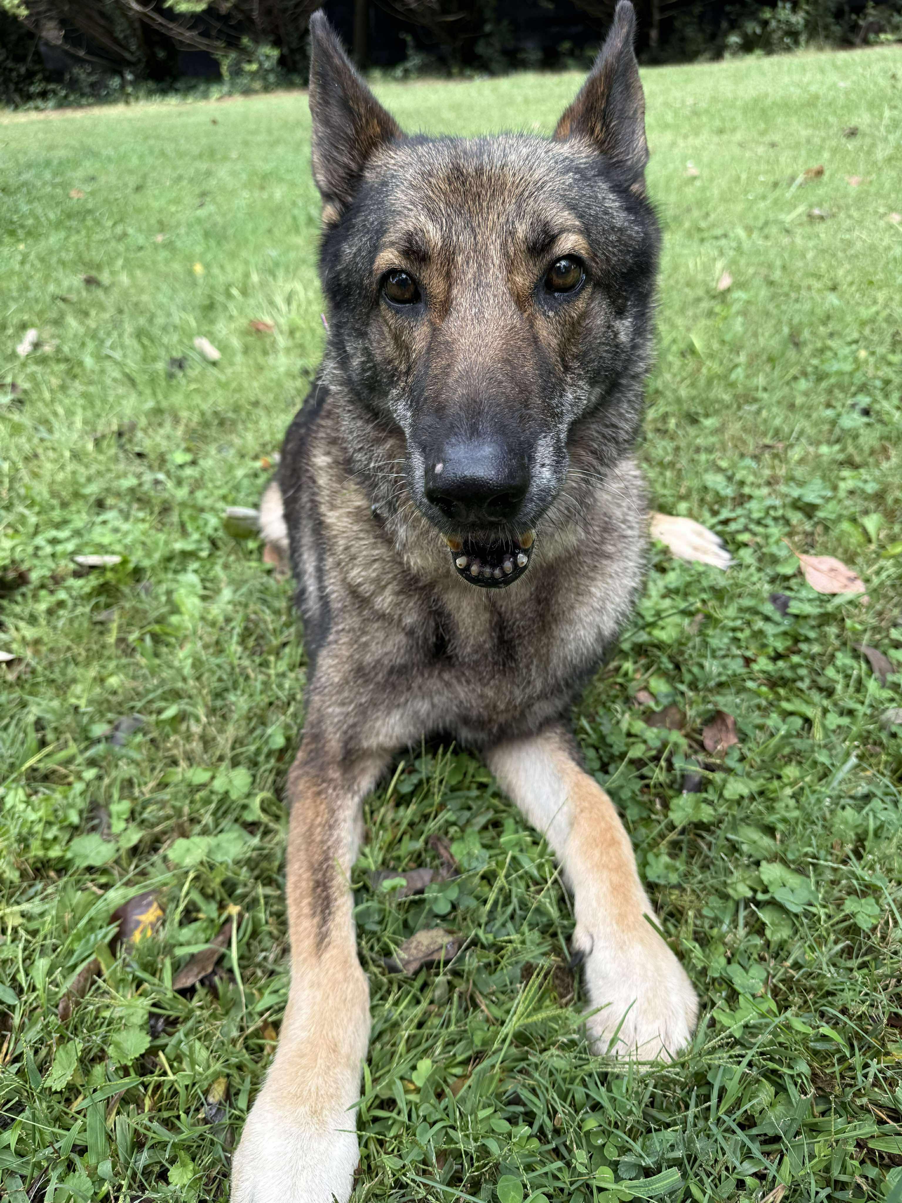 Renata (Sweet Senior)