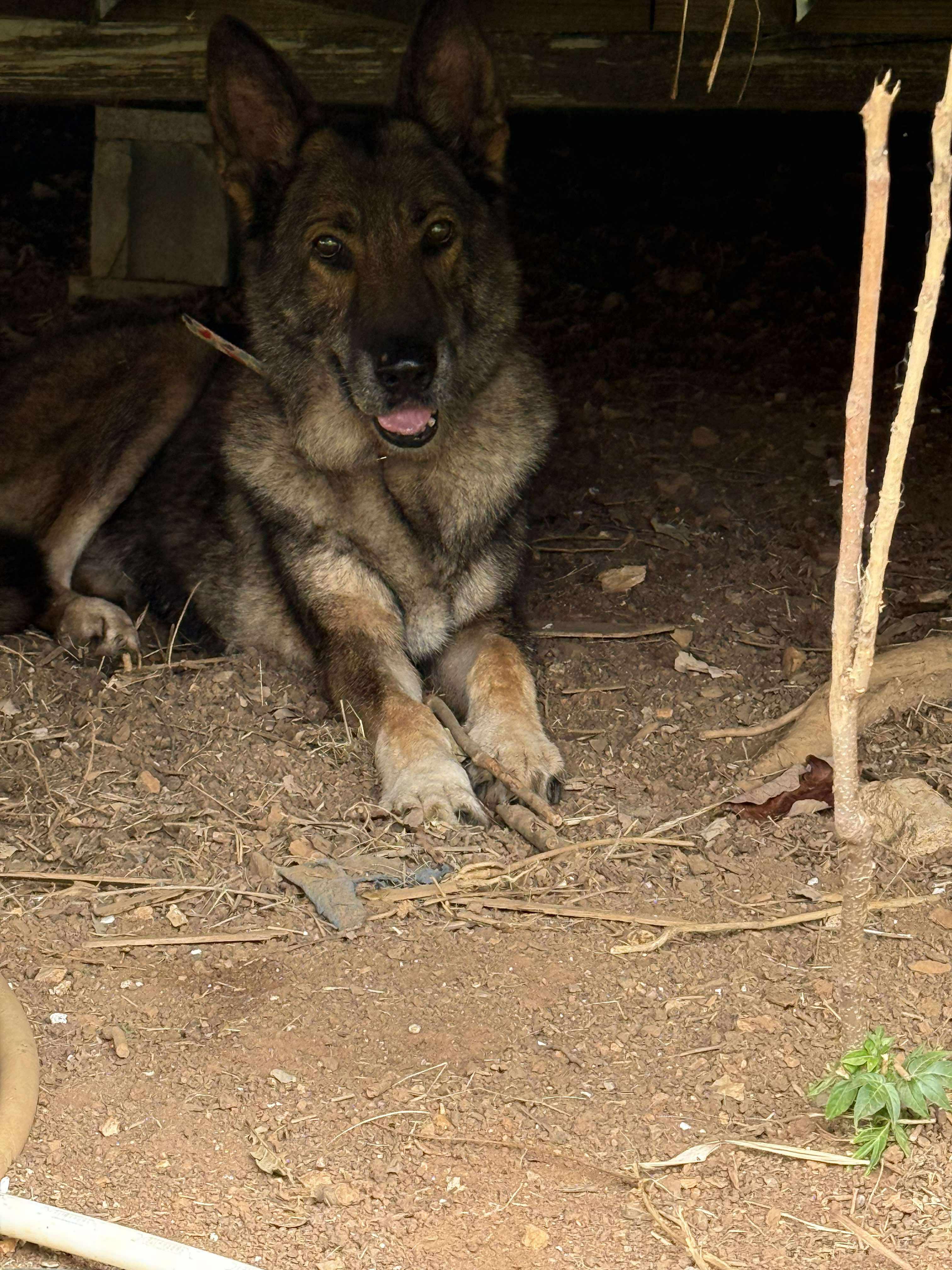 Renata (Sweet Senior)