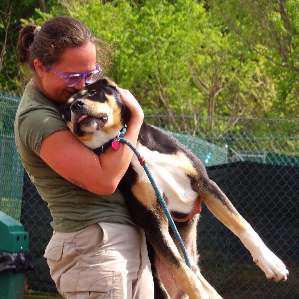 Enlarge Air, a Adoptable Mixed Breed in Vineland, NJ image 4/4