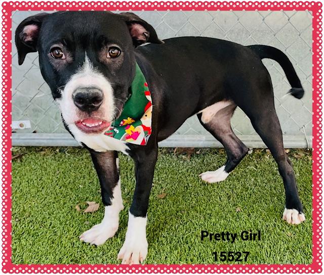 Pretty Girl See Also thumbnail 3