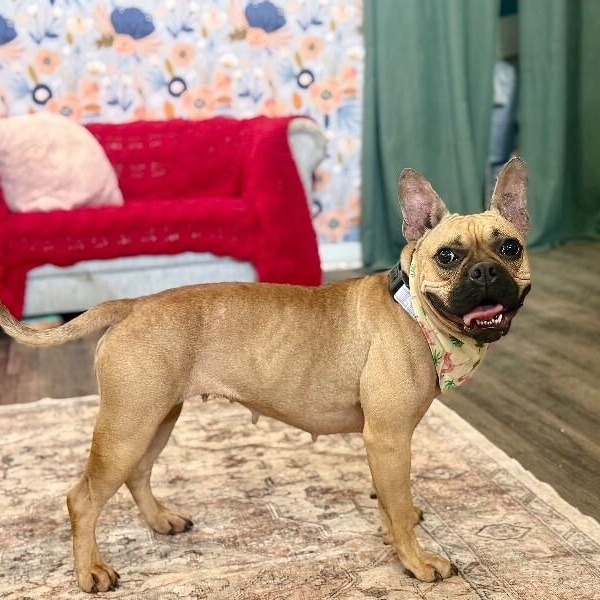 Bahama Baby — thumbnail 2