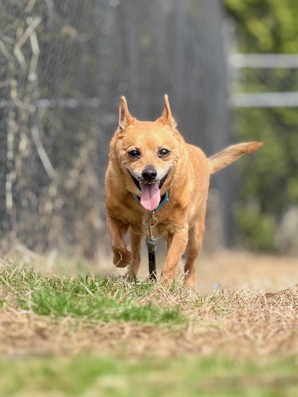 Sammie photo 1