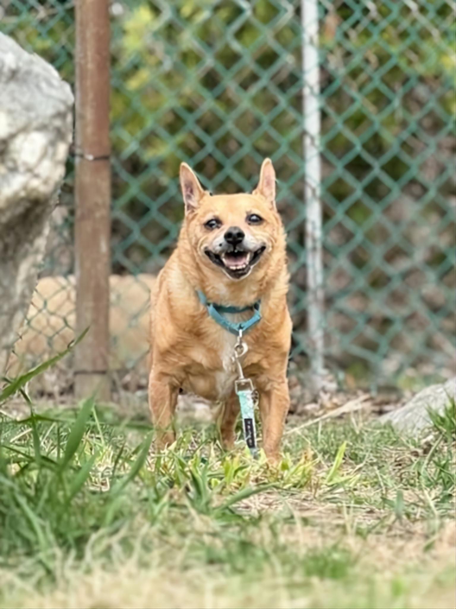 Sammie photo 3