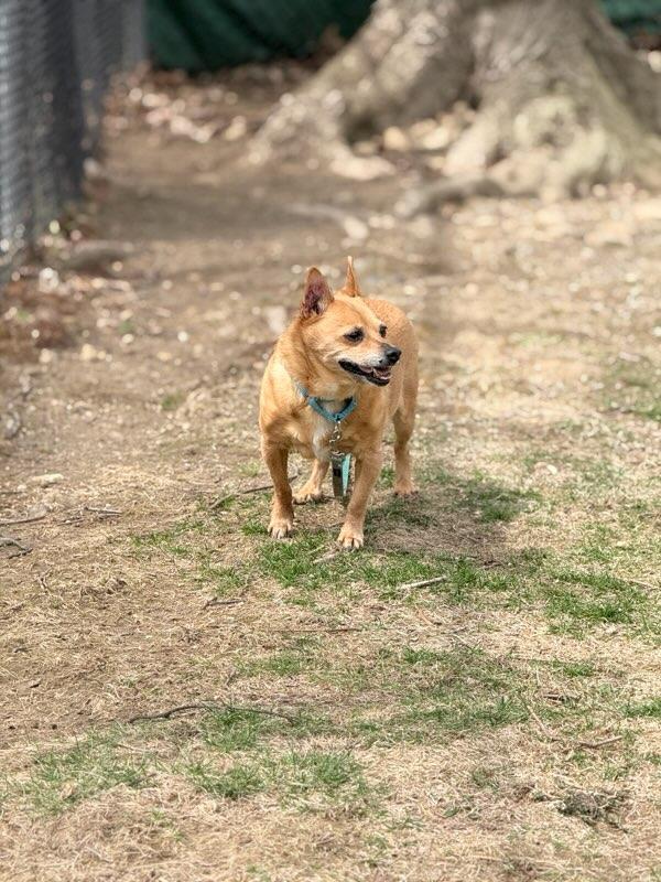 Sammie photo 2