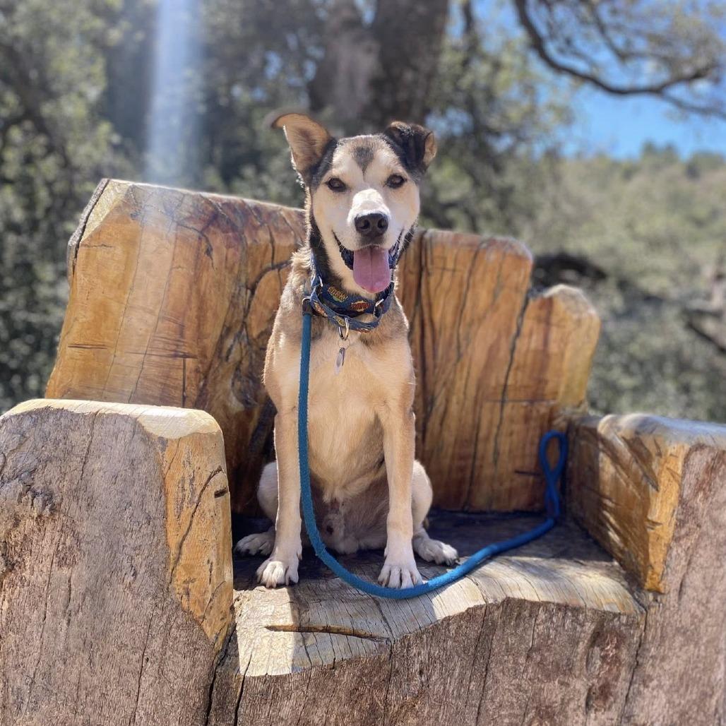 Rocky Comics — thumbnail 3