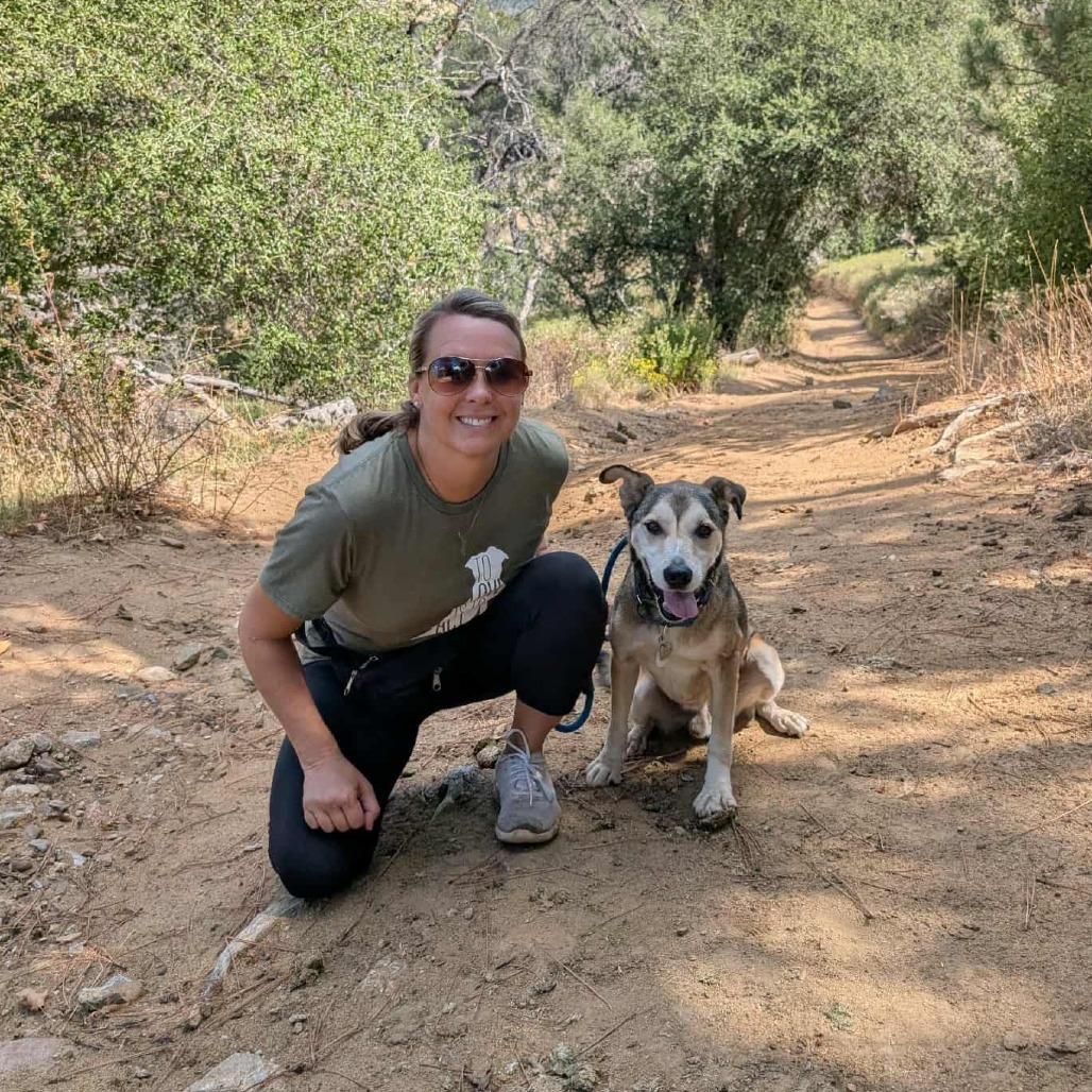Enlarge Rocky Comics, a Adoptable Husky in Ramona, CA image 6/6