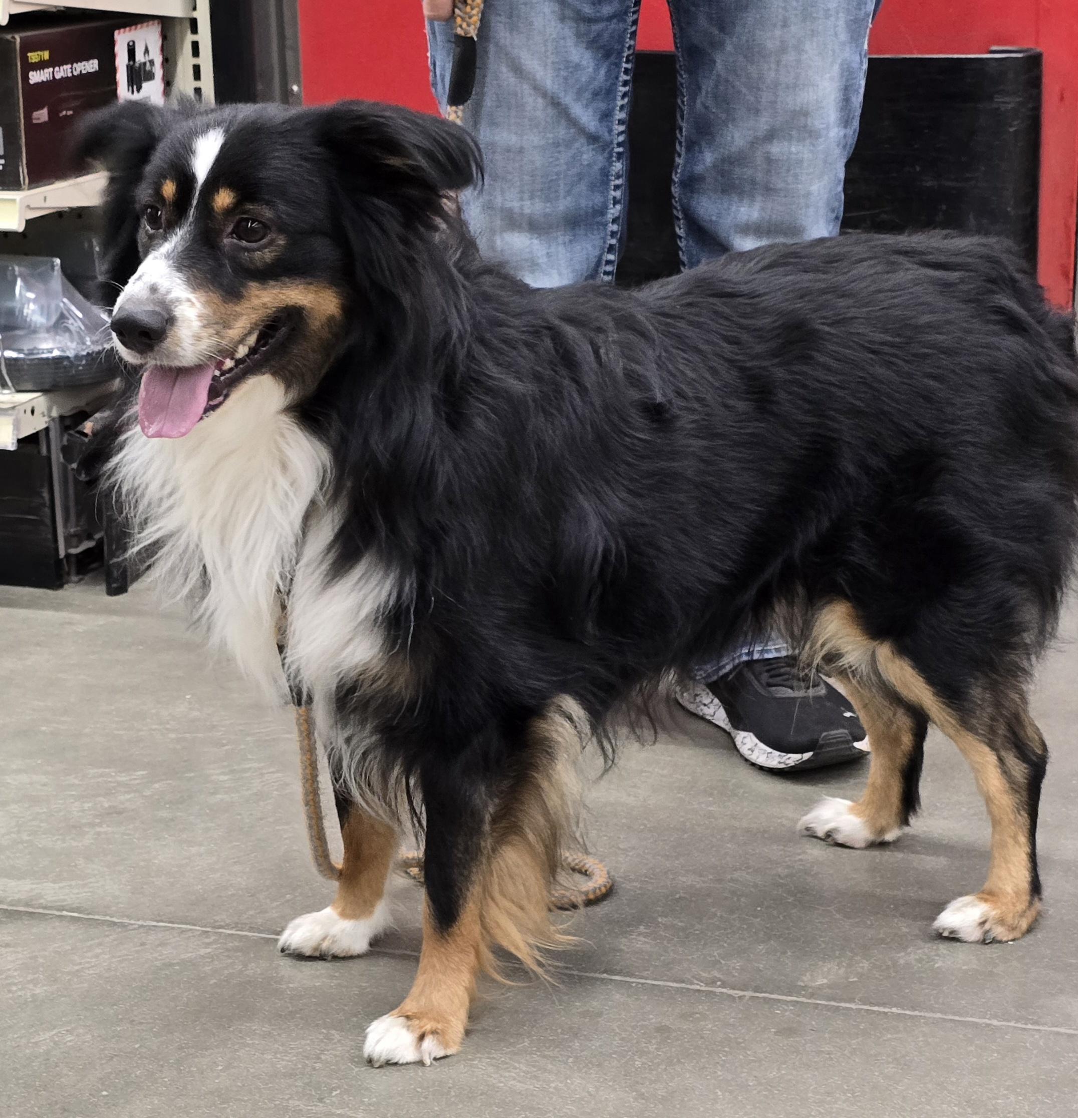 Duke