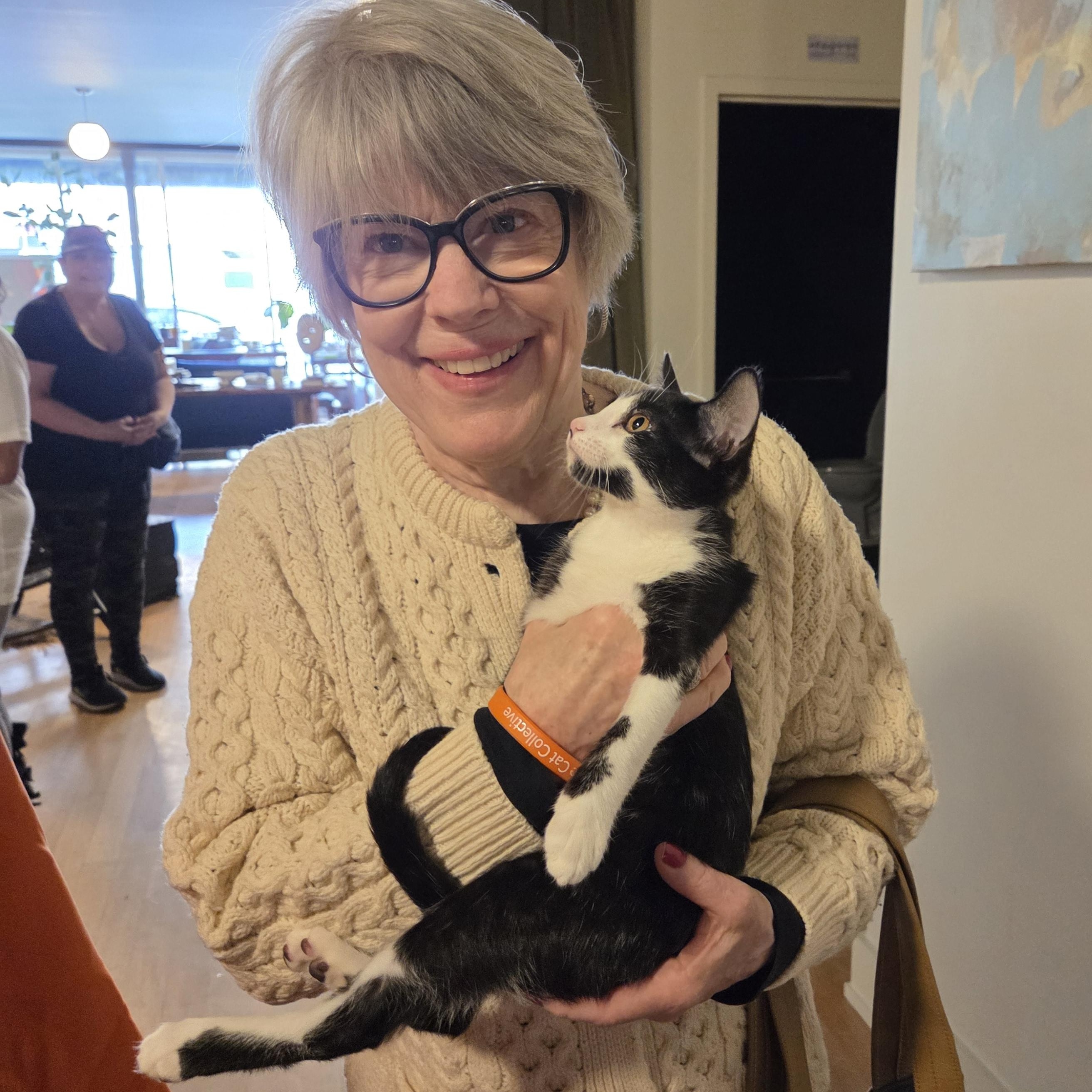Enlarge Luna and Samantha, a Adoptable American Shorthair in New York, NY image 4/6