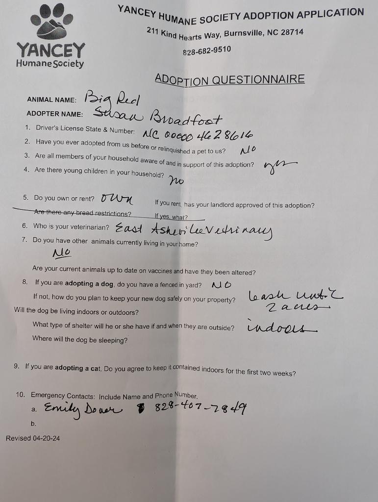 Enlarge Big Red, a Adoptable mixed breed in Burnsville, NC image 2/2