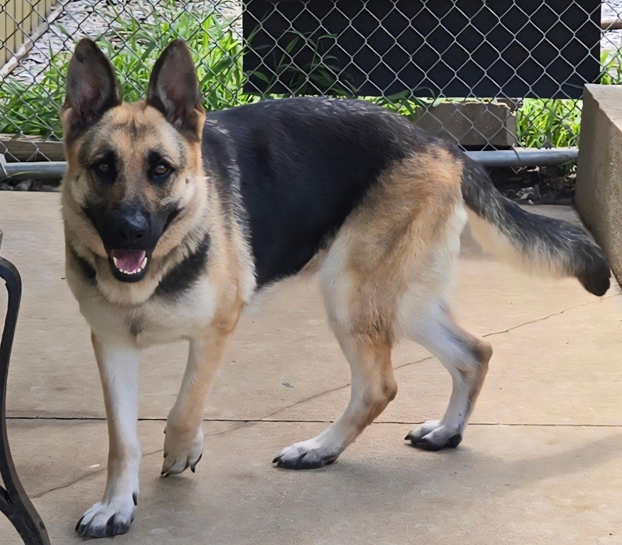 Zola