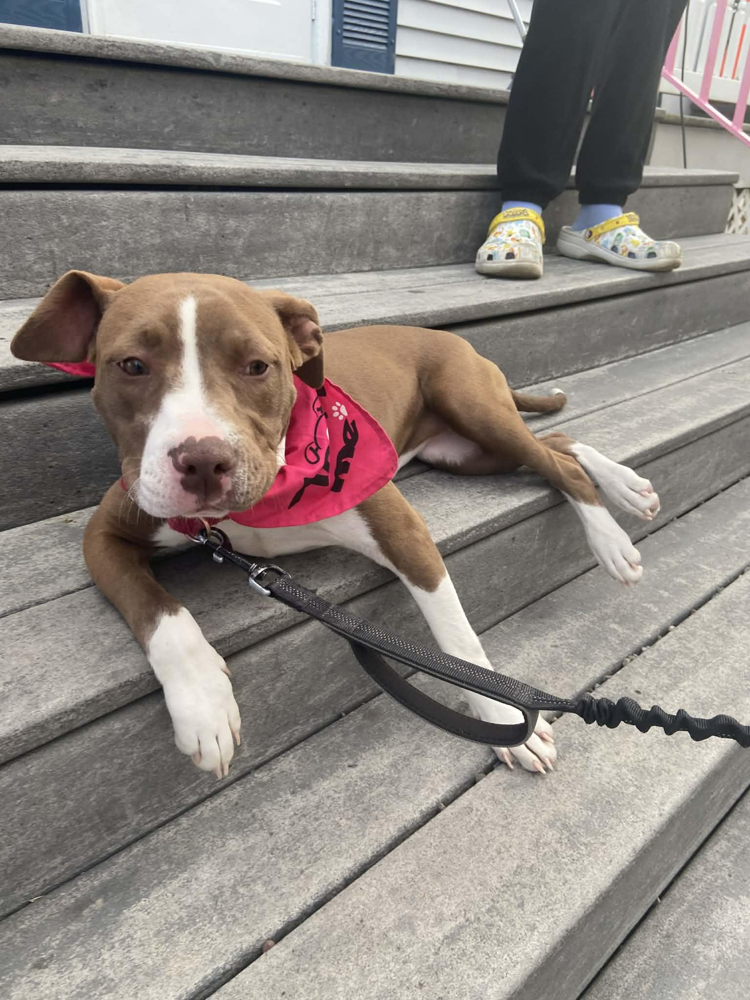 Lucy — thumbnail 5