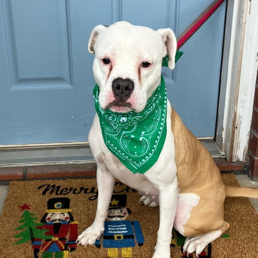 Daisy Mae — thumbnail 3