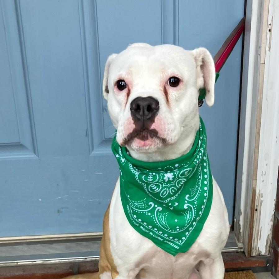 Daisy Mae — thumbnail 4