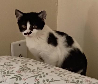 Isabelly — thumbnail 2