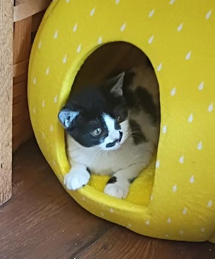 Isabelly — thumbnail 3