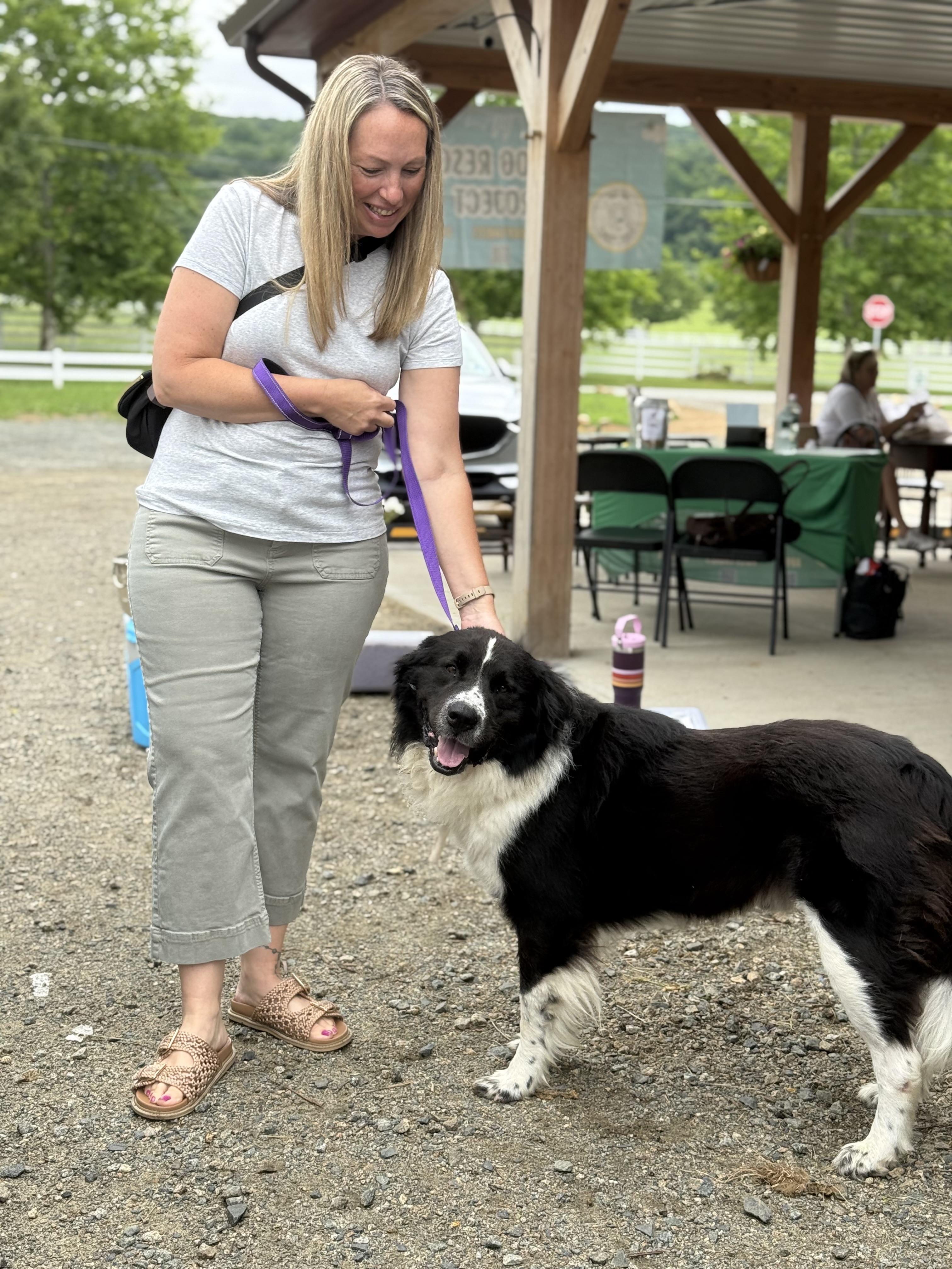 Luci, a ADOPTABLE mixed breed in Mendham, NJ image 5/5