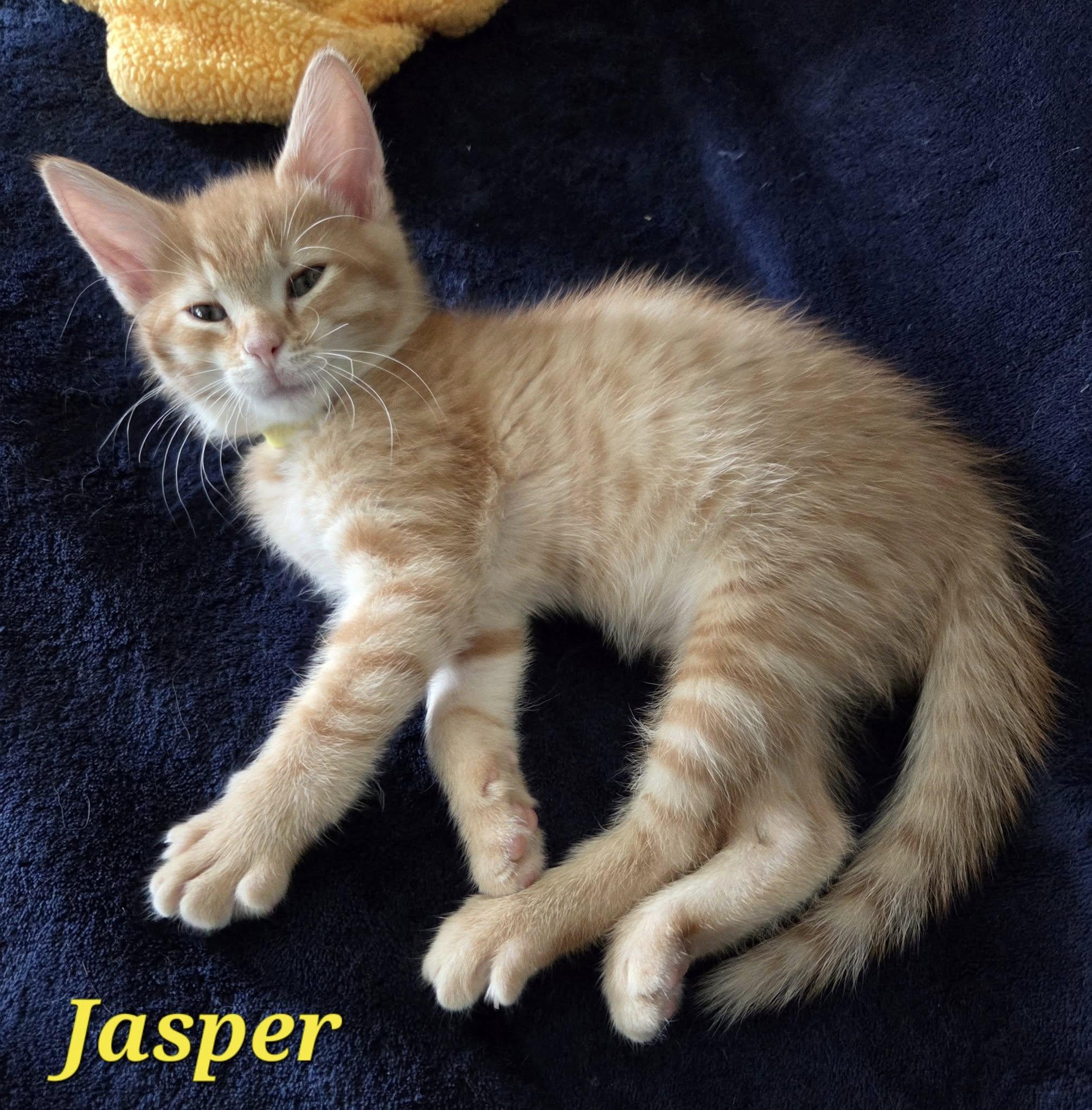 Jasper