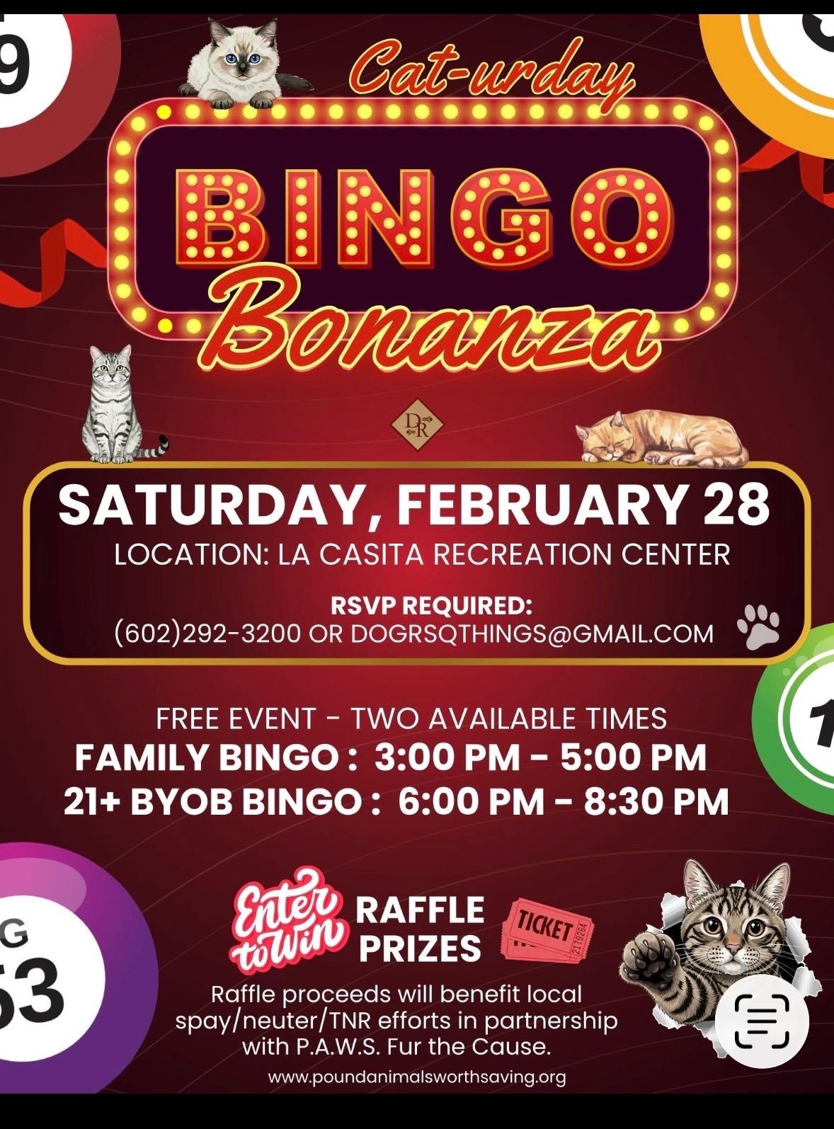 Enlarge BINGO FUNDRISER FOR LOCAL CATS & DOGS, an adopted Mixed Breed in Mesa, AZ image 1/1