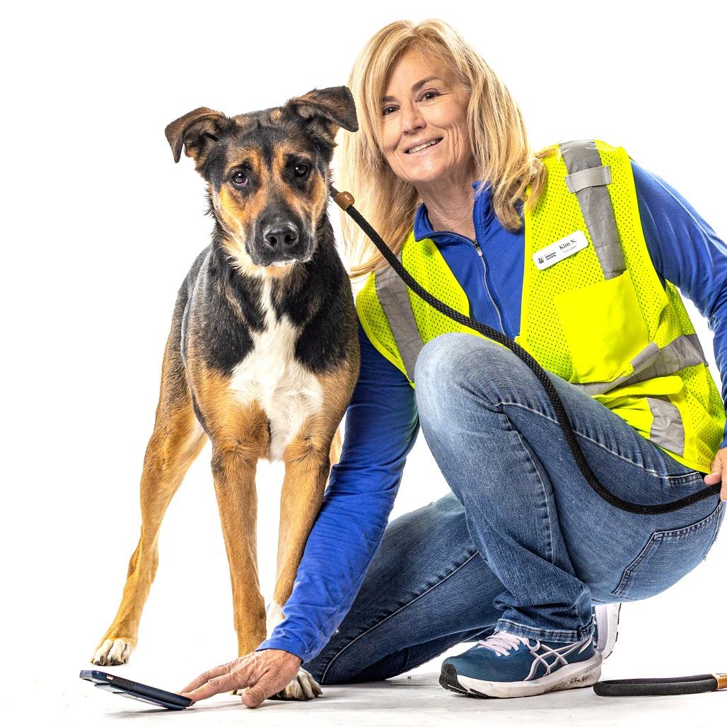 Enlarge Dini, a Adoptable mixed breed in Reno, NV image 4/6