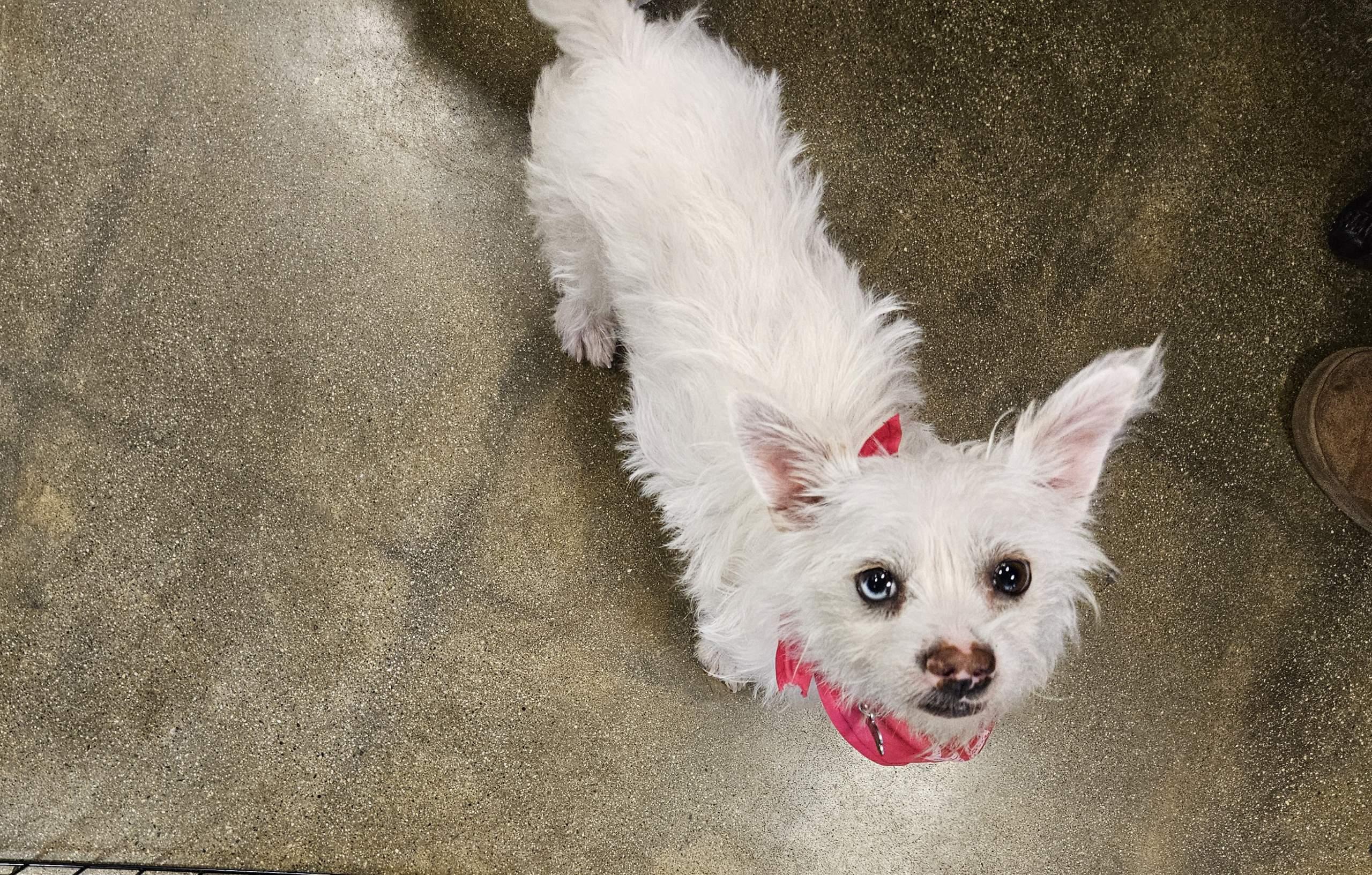 Sweet Summer! thumbnail 2