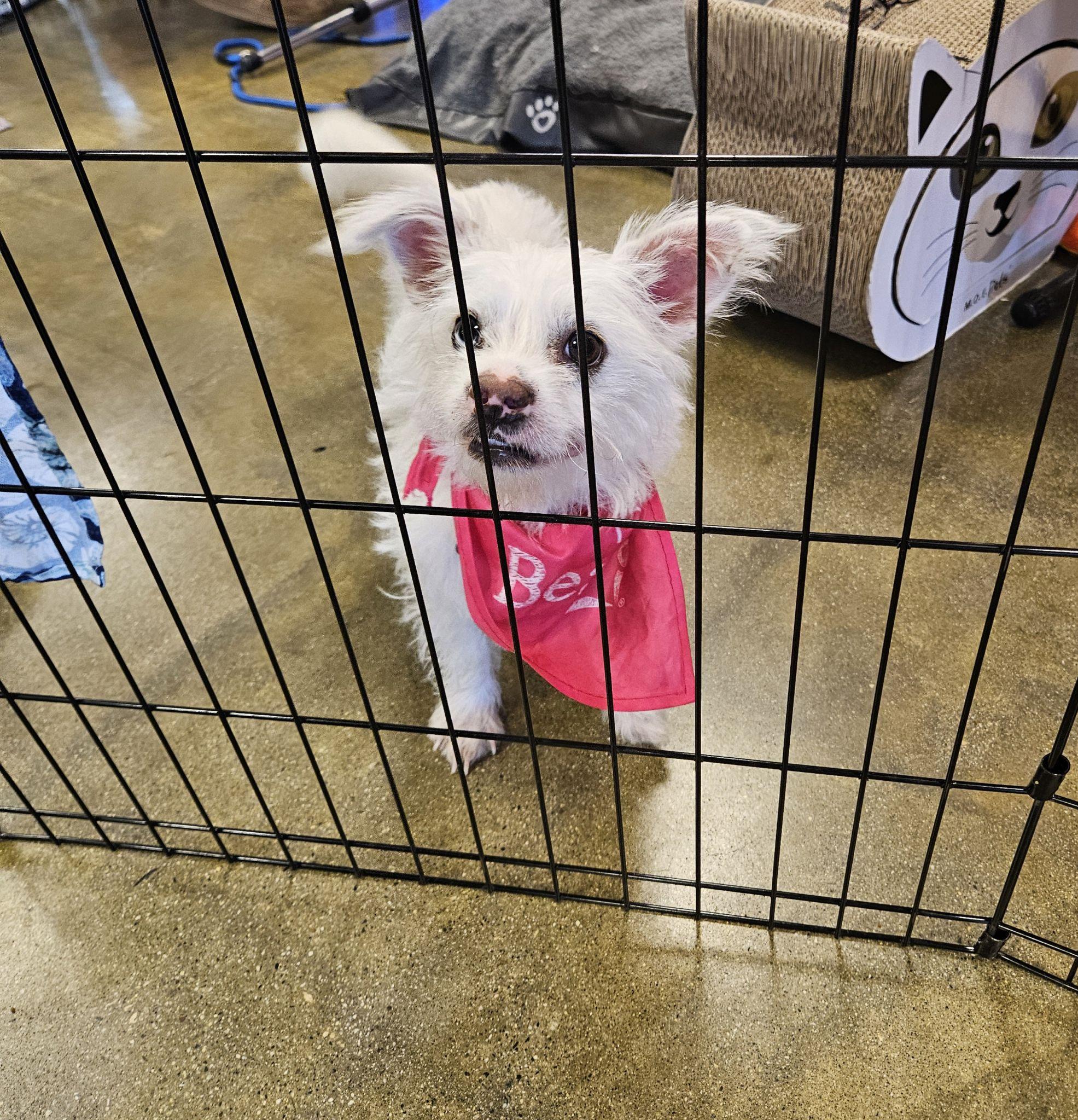 Sweet Summer! thumbnail 4