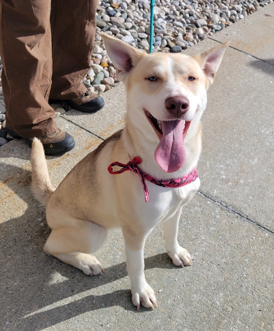 Trinity-Adopted!