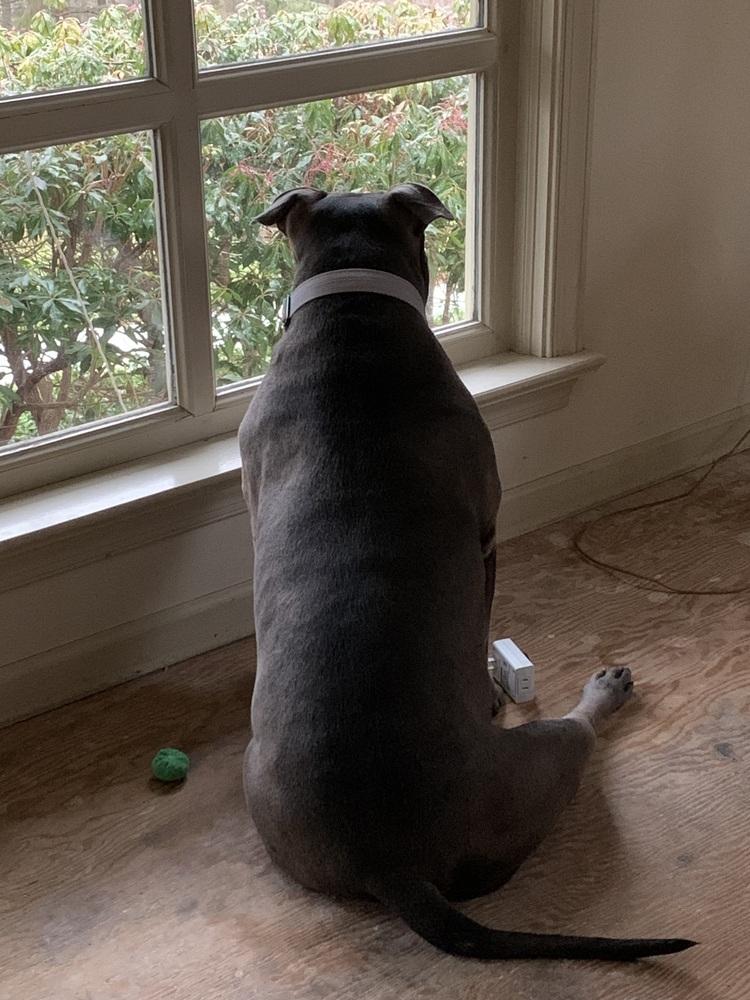 Skye (fka Pebbles) — thumbnail 3