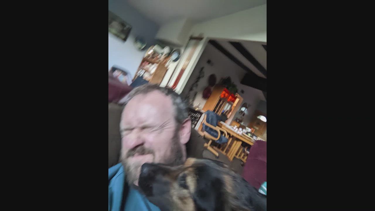 Enlarge Rosie, a Adopted mixed breed in San Diego, CA video 2/5